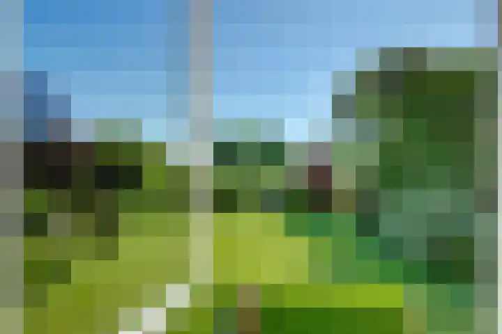 Binckhorst 65 Hoogkarspel thumbnail 23