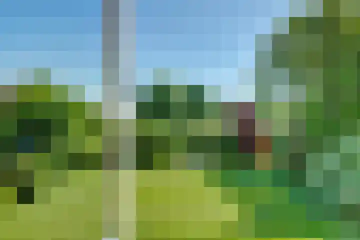 Binckhorst 65 Hoogkarspel thumbnail 24
