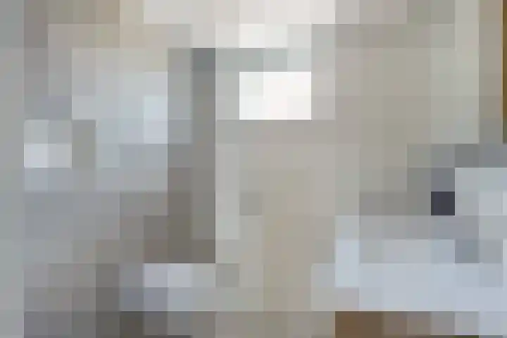 Binckhorst 65 Hoogkarspel thumbnail 27