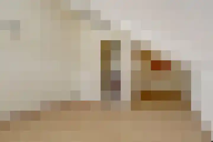 Binckhorst 65 Hoogkarspel thumbnail 38