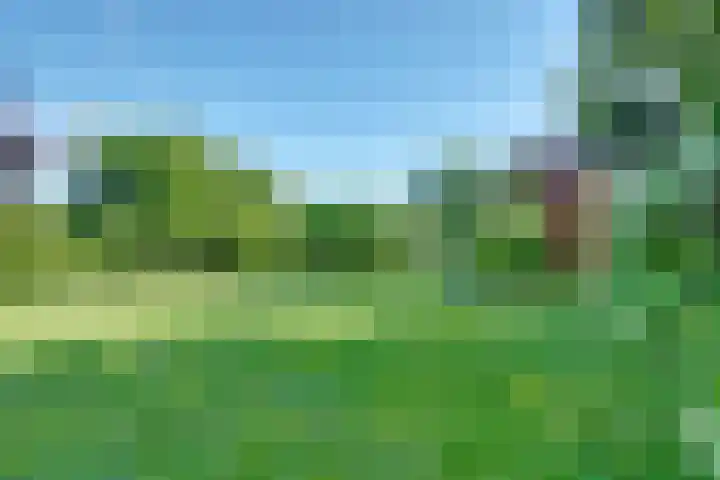 Binckhorst 65 Hoogkarspel thumbnail 4