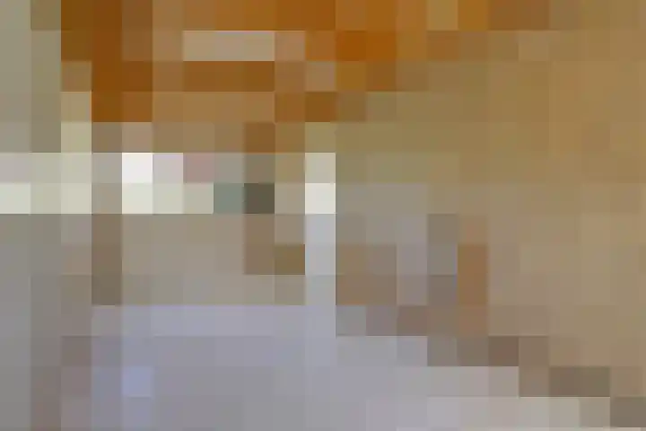 Binckhorst 65 Hoogkarspel thumbnail 40