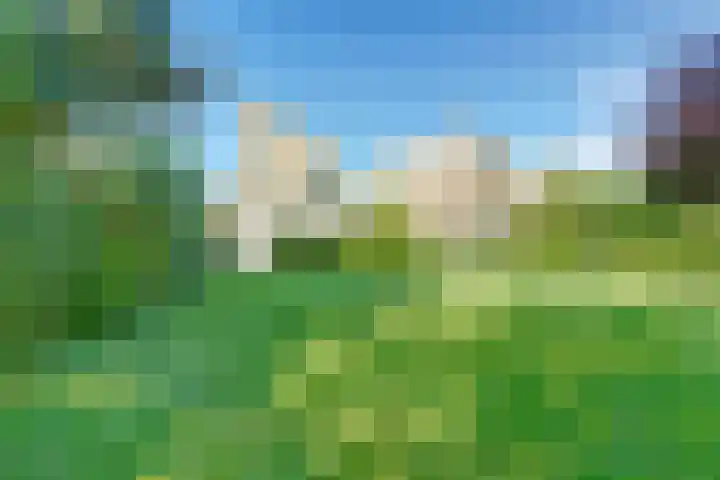 Binckhorst 65 Hoogkarspel thumbnail 41