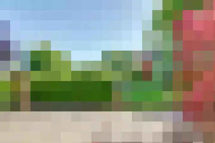 Binckhorst 65 Hoogkarspel thumbnail 42