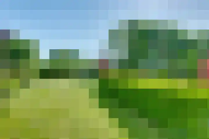Binckhorst 65 Hoogkarspel thumbnail 43