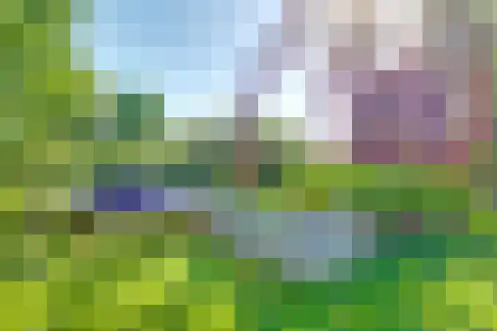 Binckhorst 65 Hoogkarspel thumbnail 45