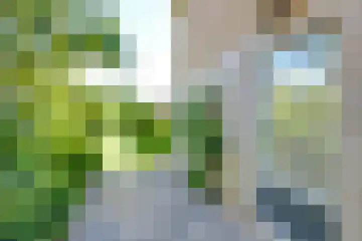 Binckhorst 65 Hoogkarspel thumbnail 52