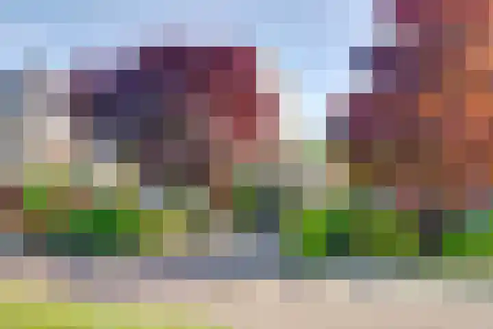 Binckhorst 65 Hoogkarspel thumbnail 56