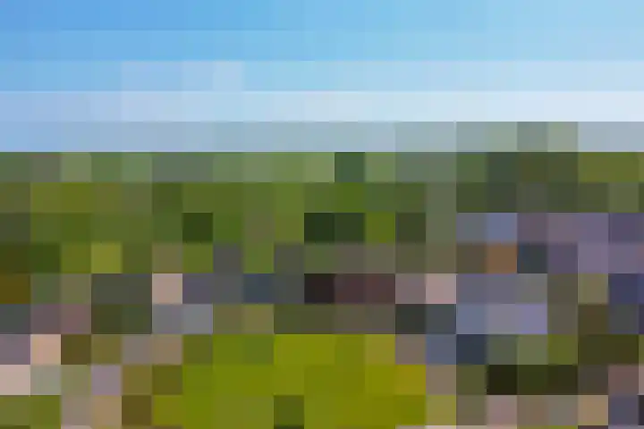 Binckhorst 65 Hoogkarspel thumbnail 57
