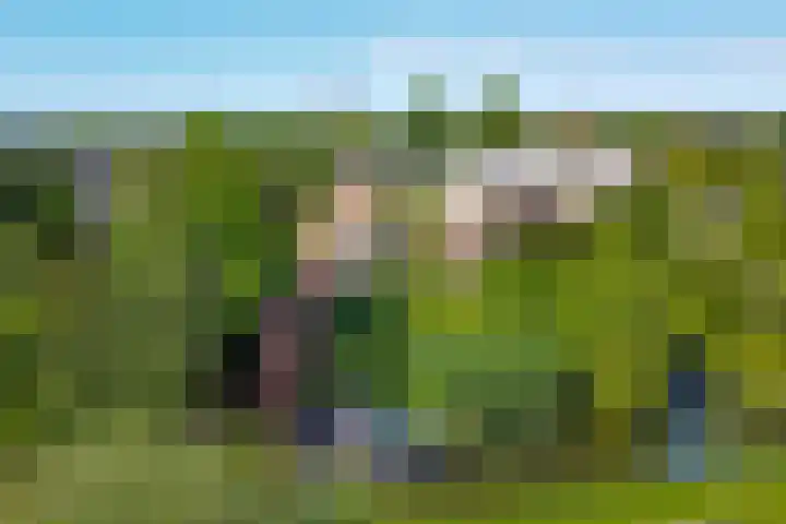 Binckhorst 65 Hoogkarspel thumbnail 58