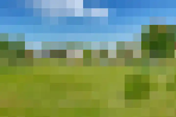 Binckhorst 65 Hoogkarspel thumbnail 59