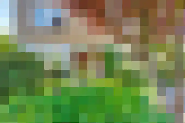 Binckhorst 65 Hoogkarspel thumbnail 7
