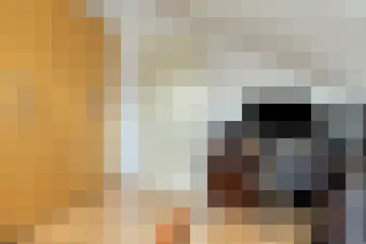 Binckhorst 67 Hoogkarspel thumbnail 30