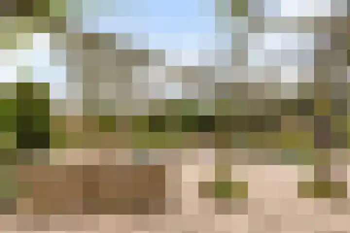 Binckhorst 67 Hoogkarspel thumbnail 35
