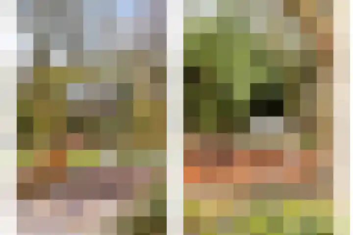 Binckhorst 67 Hoogkarspel thumbnail 36