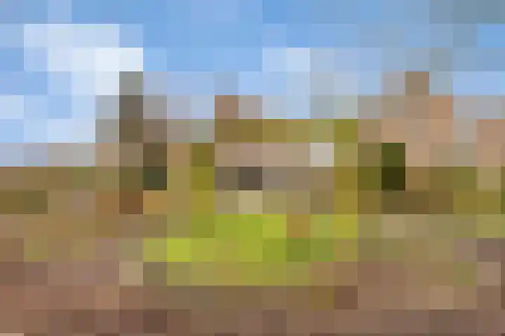 Binckhorst 67 Hoogkarspel thumbnail 37