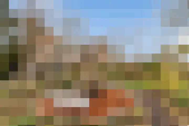 Binckhorst 67 Hoogkarspel thumbnail 38