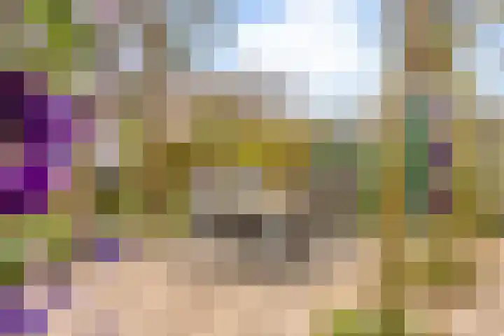 Binckhorst 67 Hoogkarspel thumbnail 40