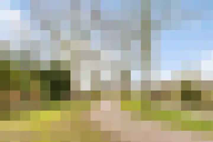 Binckhorst 67 Hoogkarspel thumbnail 46
