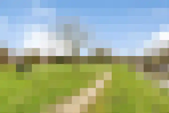 Binckhorst 67 Hoogkarspel thumbnail 47