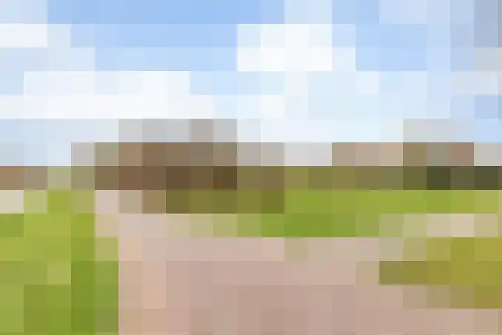Binckhorst 67 Hoogkarspel thumbnail 48