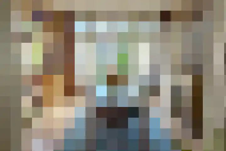 Binckhorstlaan 16 Voorburg thumbnail 10