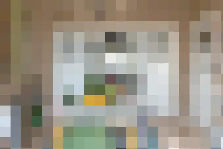 Binckhorstlaan 16 Voorburg thumbnail 12