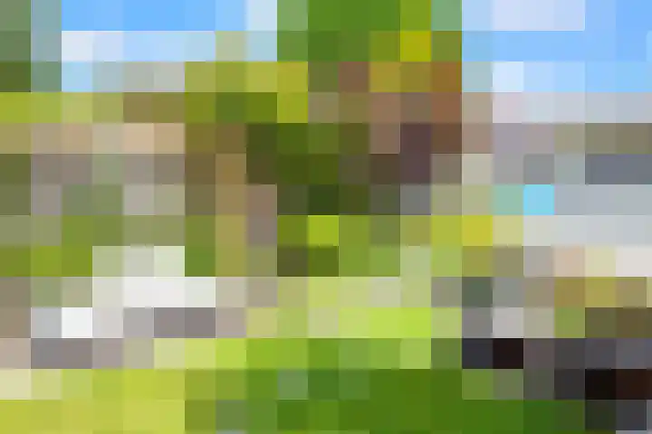 Binckhorstlaan 16 Voorburg thumbnail 17