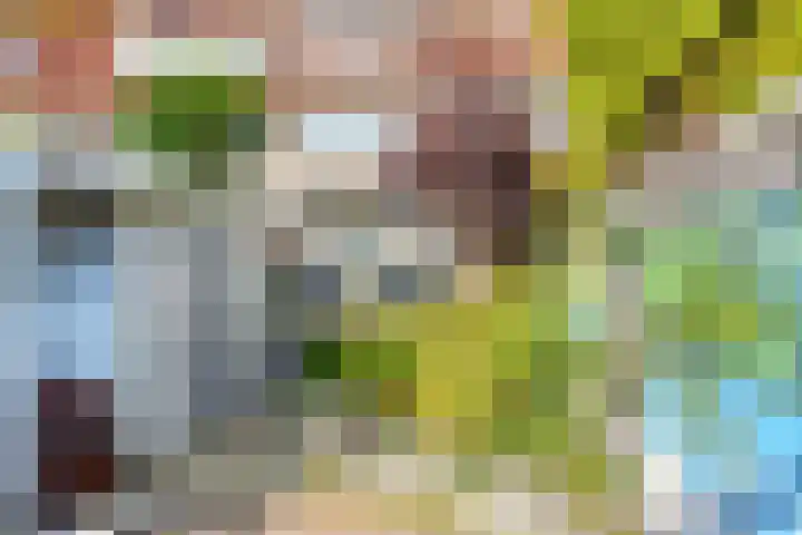 Binckhorstlaan 16 Voorburg thumbnail 18
