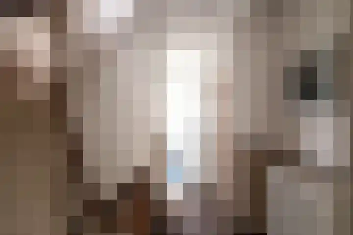 Binckhorstlaan 16 Voorburg thumbnail 21