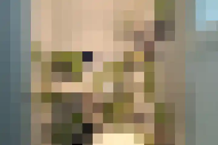 Binckhorstlaan 16 Voorburg thumbnail 31