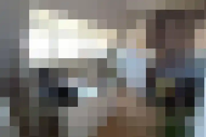 Binckhorstlaan 16 Voorburg thumbnail 36