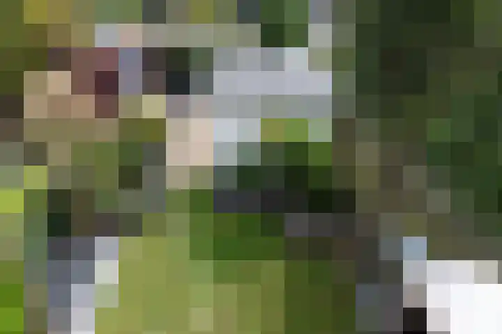 Binckhorstlaan 16 Voorburg thumbnail 39