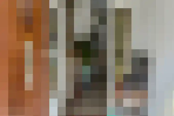 Binckhorstlaan 16 Voorburg thumbnail 4