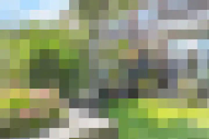 Binckhorstlaan 16 Voorburg thumbnail 40