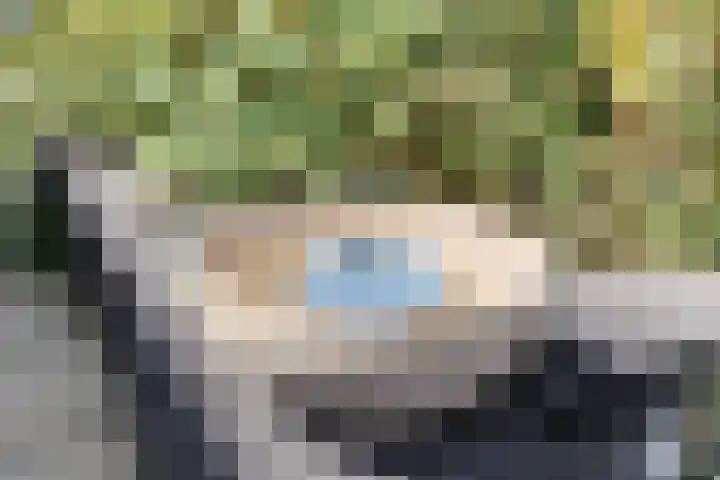 Binckhorstlaan 16 Voorburg thumbnail 42