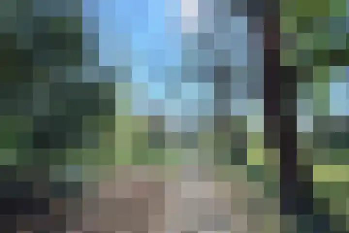 Binckhorstlaan 16 Voorburg thumbnail 48