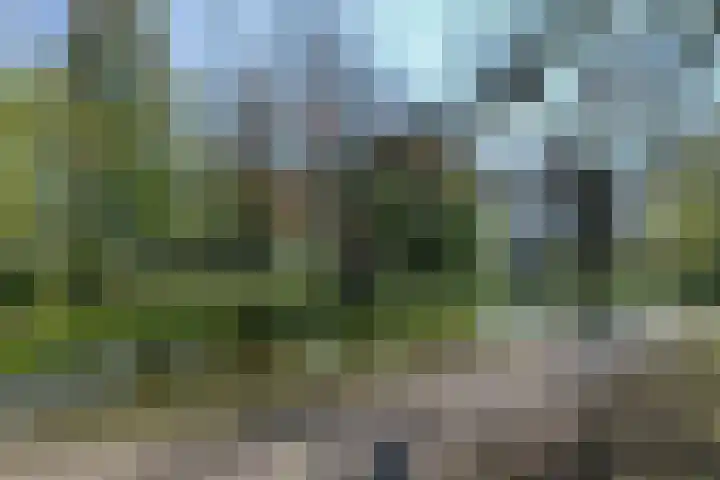 Binckhorstlaan 16 Voorburg thumbnail 49