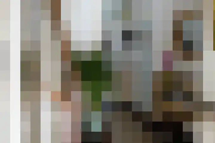 Binckhorstlaan 16 Voorburg thumbnail 6