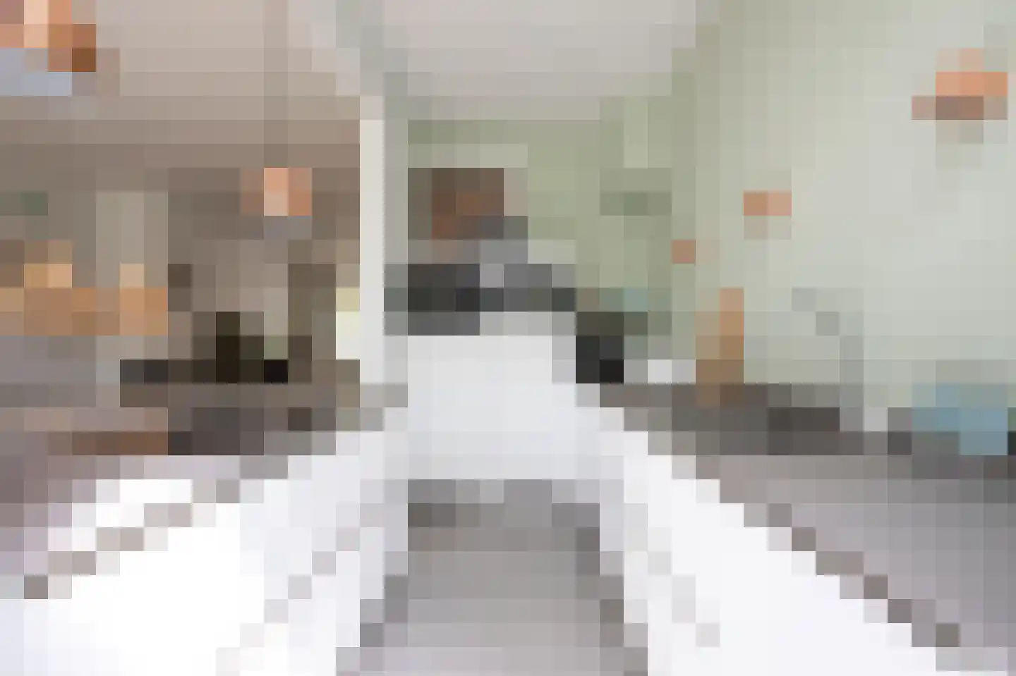 Binckhorstlaan 17 Voorburg thumbnail 15