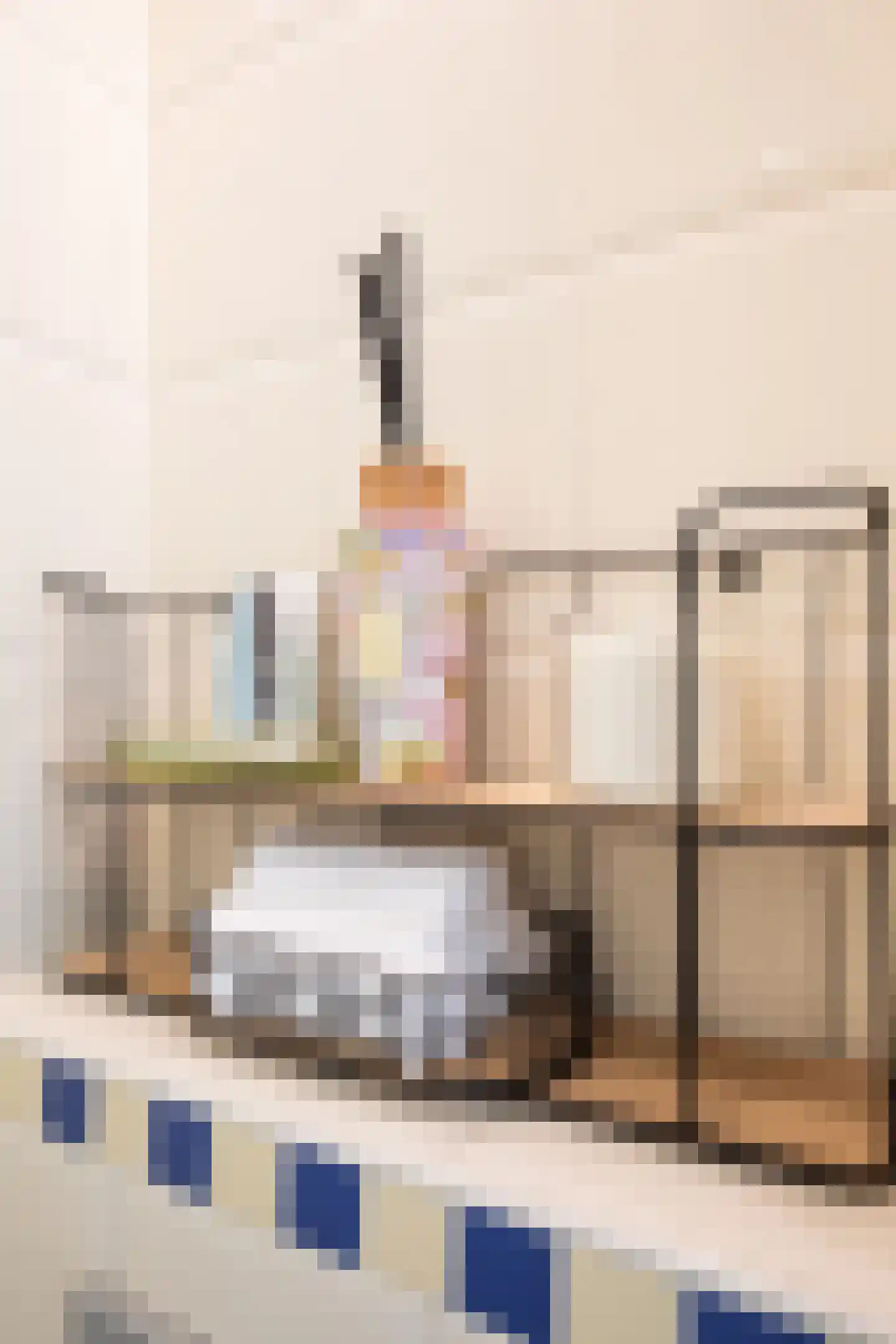 Binckhorstlaan 17 Voorburg thumbnail 19