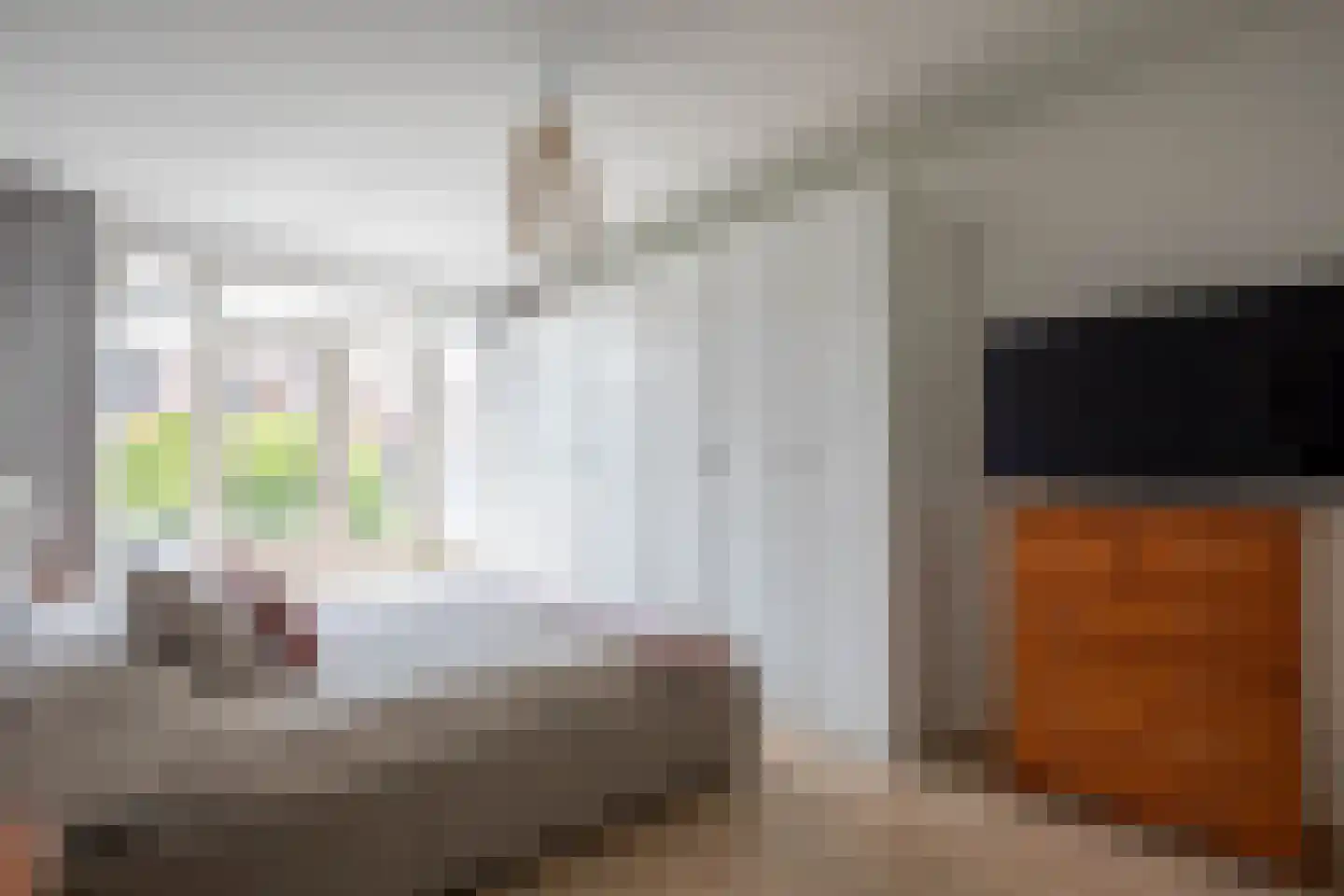 Binckhorstlaan 17 Voorburg thumbnail 24