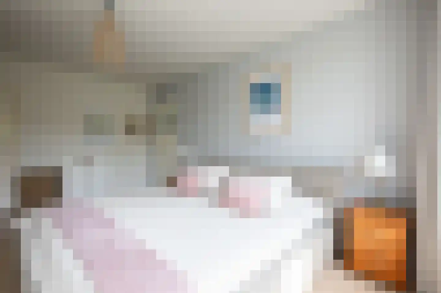Binckhorstlaan 17 Voorburg thumbnail 26