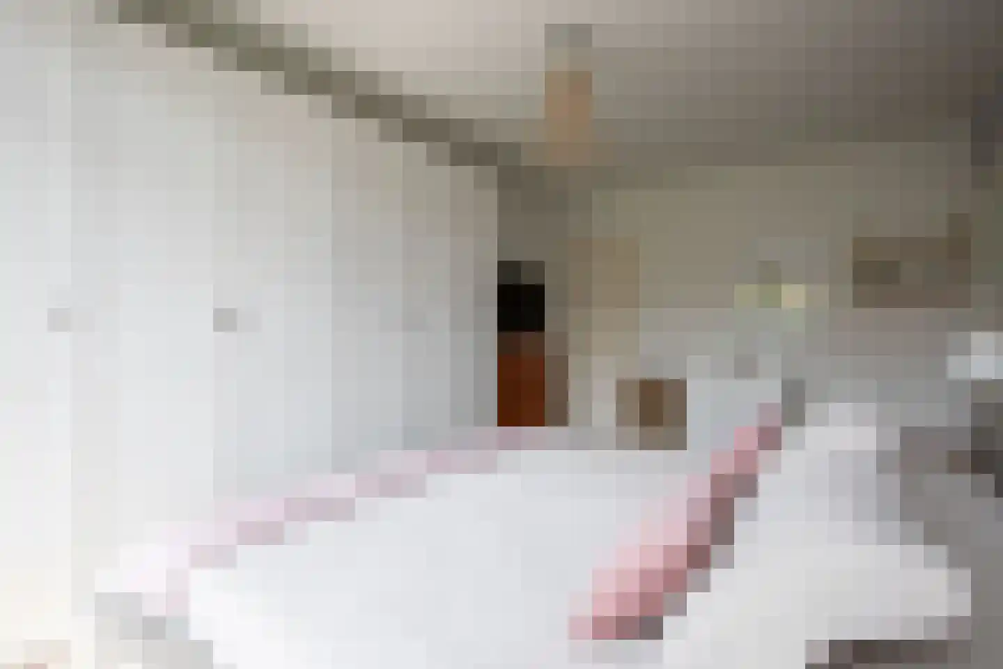 Binckhorstlaan 17 Voorburg thumbnail 27
