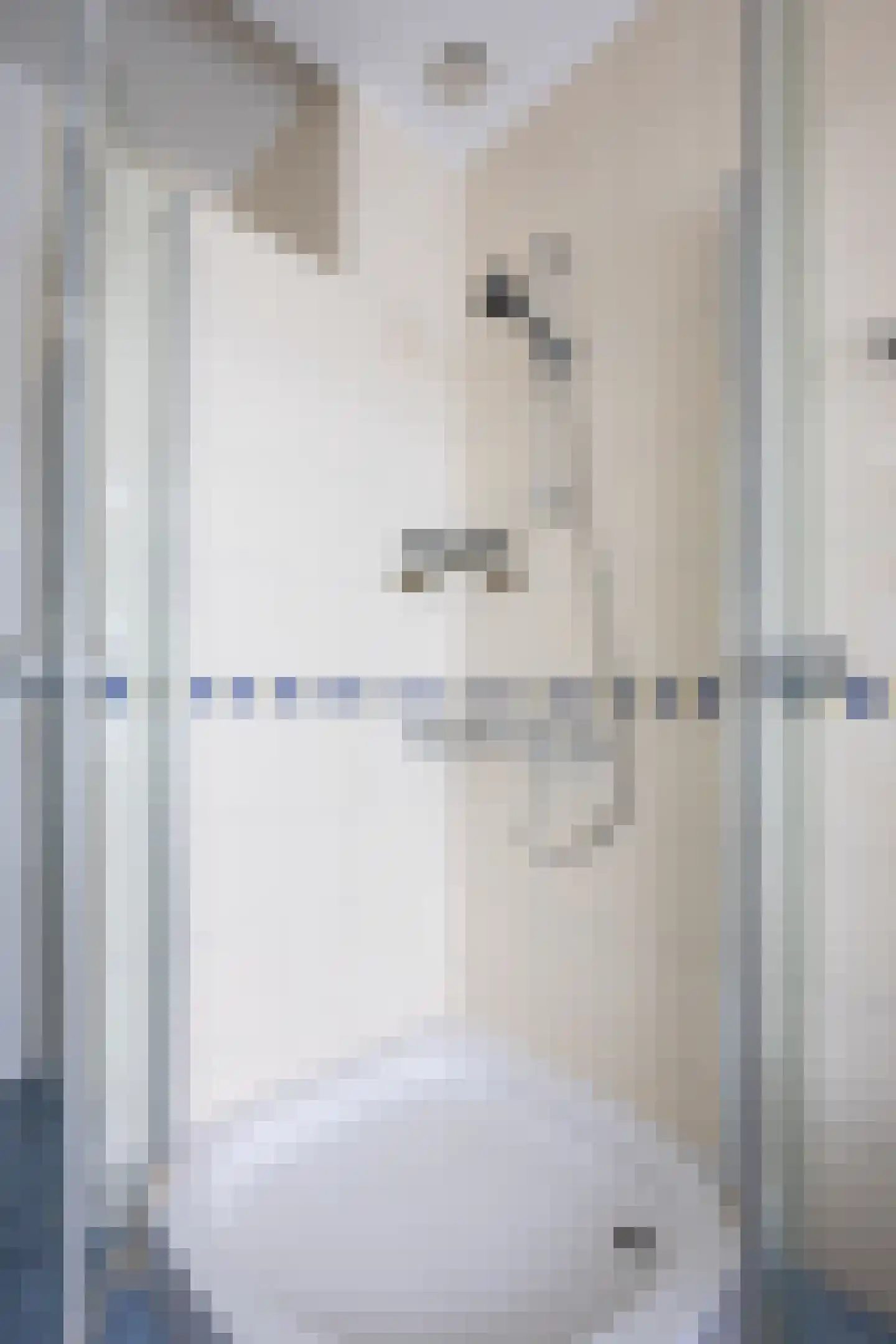 Binckhorstlaan 17 Voorburg thumbnail 31