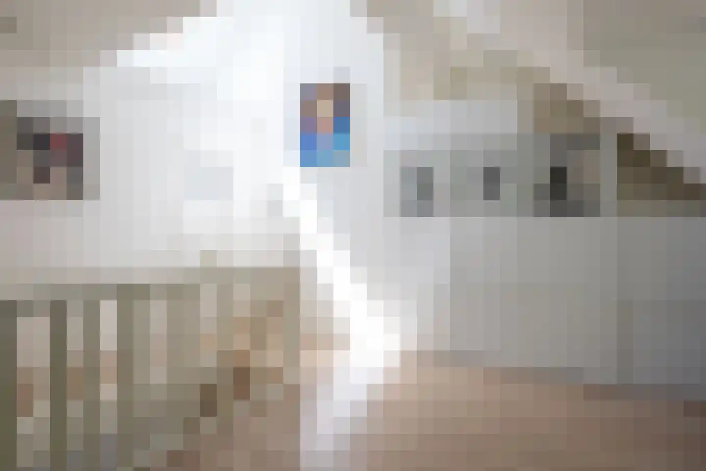 Binckhorstlaan 17 Voorburg thumbnail 34
