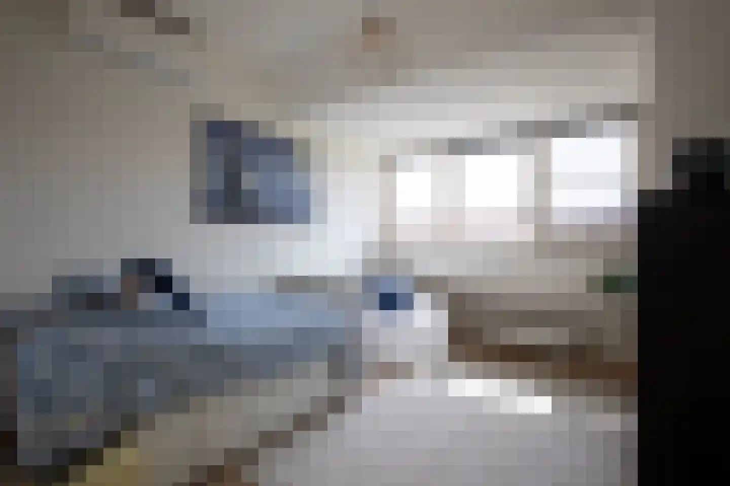 Binckhorstlaan 17 Voorburg thumbnail 37