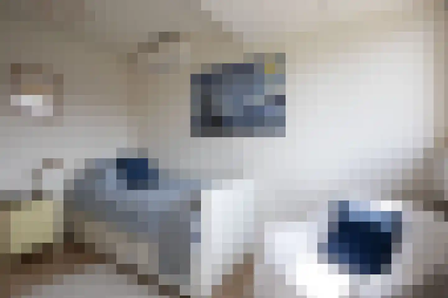 Binckhorstlaan 17 Voorburg thumbnail 38