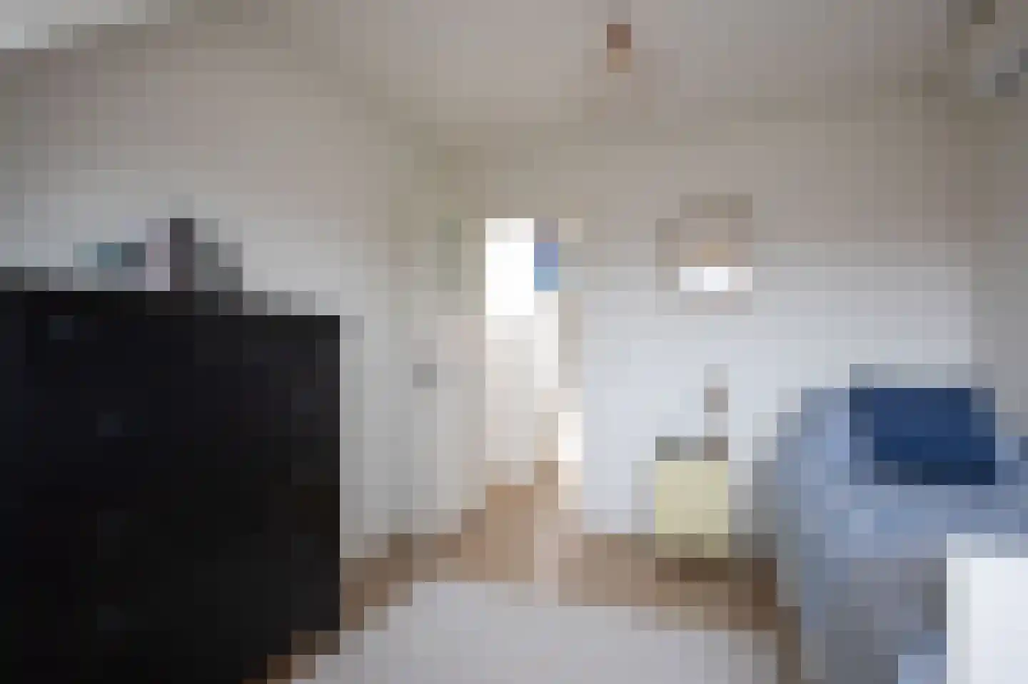 Binckhorstlaan 17 Voorburg thumbnail 39
