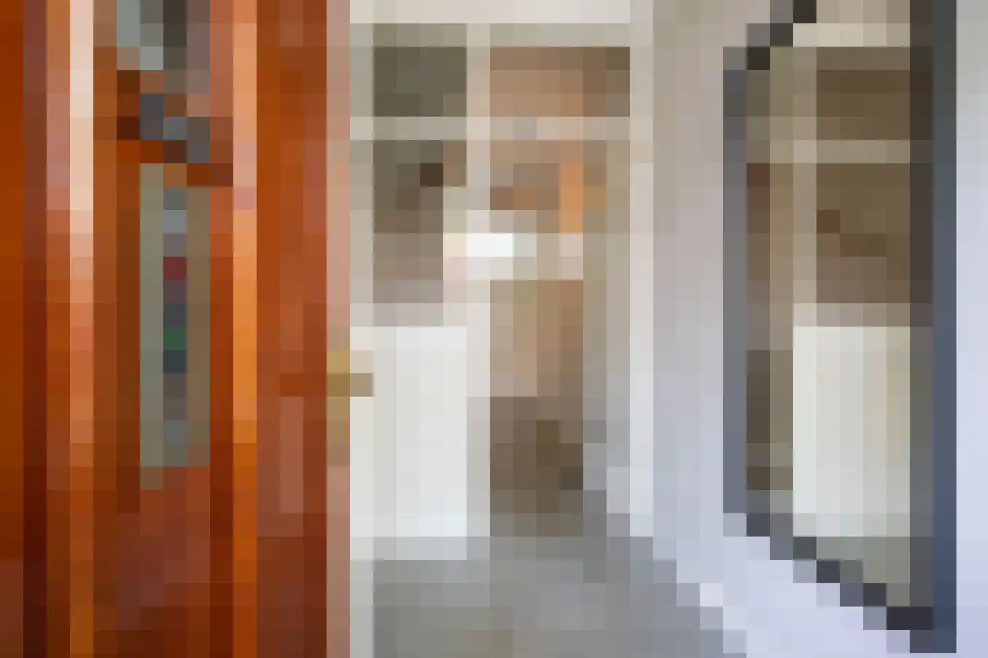 Binckhorstlaan 17 Voorburg thumbnail 4